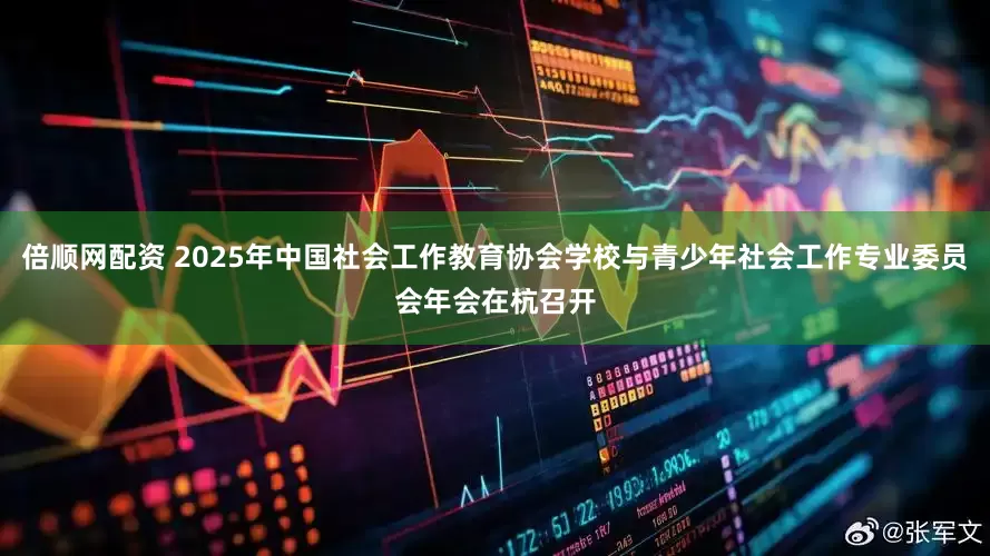倍顺网配资 2025年中国社会工作教育协会学校与青少年社会工作专业委员会年会在杭召开