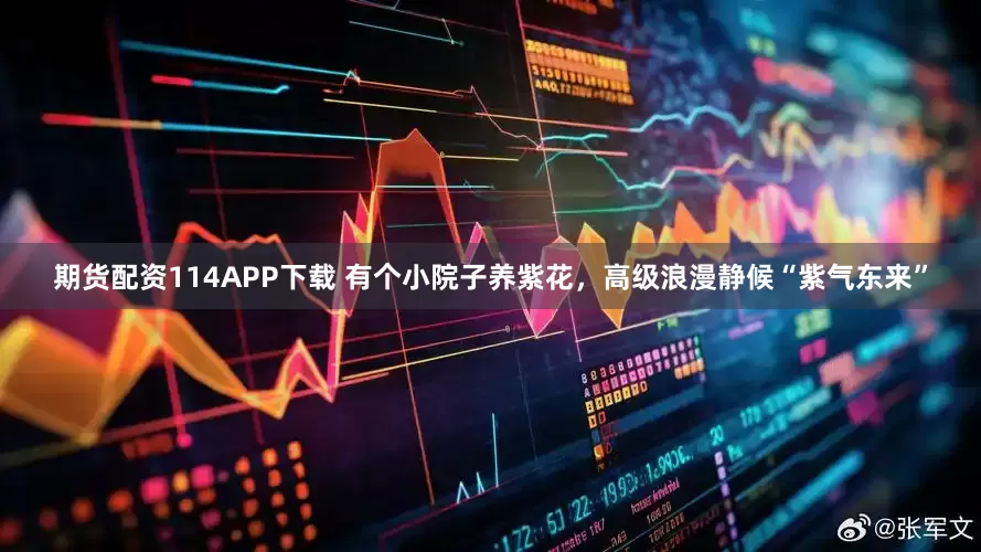 期货配资114APP下载 有个小院子养紫花，高级浪漫静候“紫气东来”
