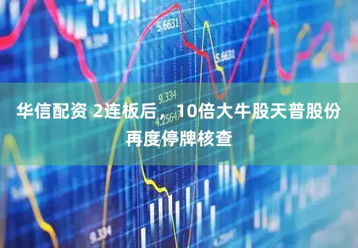 华信配资 2连板后，10倍大牛股天普股份再度停牌核查